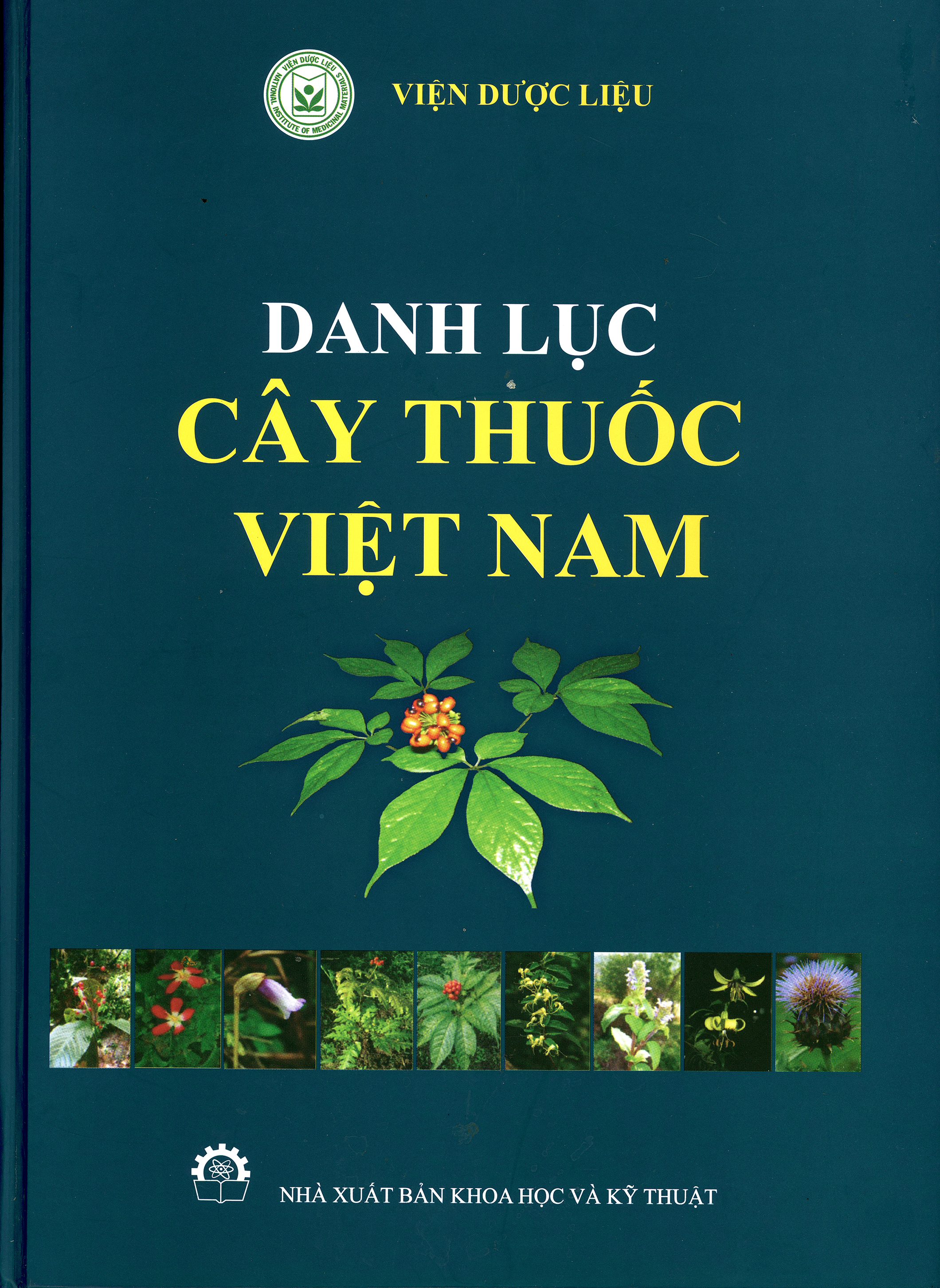Không có ảnh